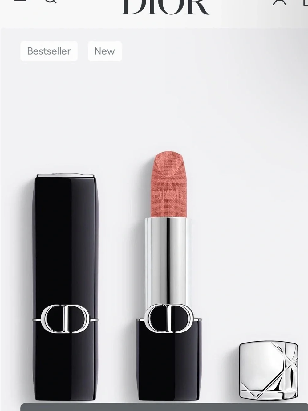 Dior Rouge Velvet in Nude Look 100